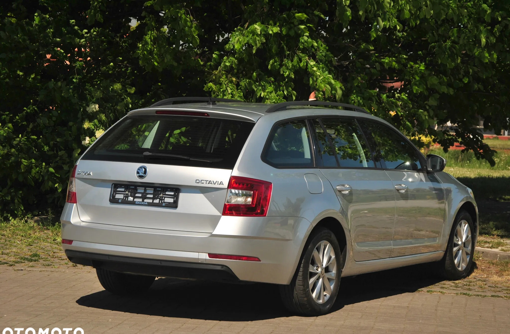 Skoda Octavia cena 49900 przebieg: 151000, rok produkcji 2019 z Raszków małe 79